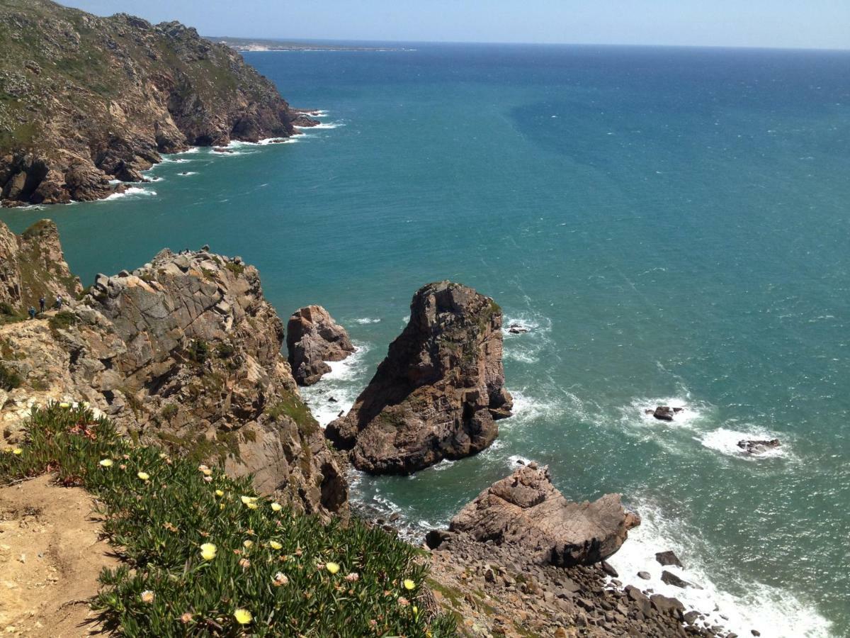Sintra/Colares Beach House With Mountain View Villa Bagian luar foto